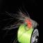 images/fluebindere/bart_reitsma/5.jpg