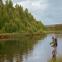 images/fluebindere/carl_olofson/DSC_2023.jpg