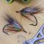 images/fluebindere/geert_werbrouck/1000041179.jpg